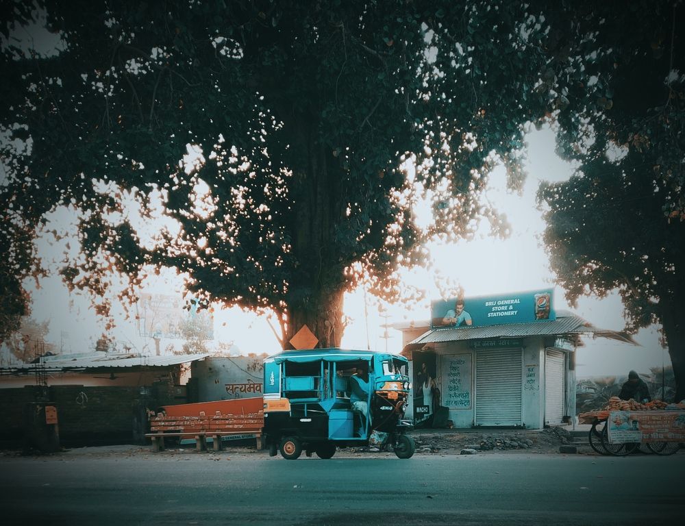 Photograph by Srija Lingwal