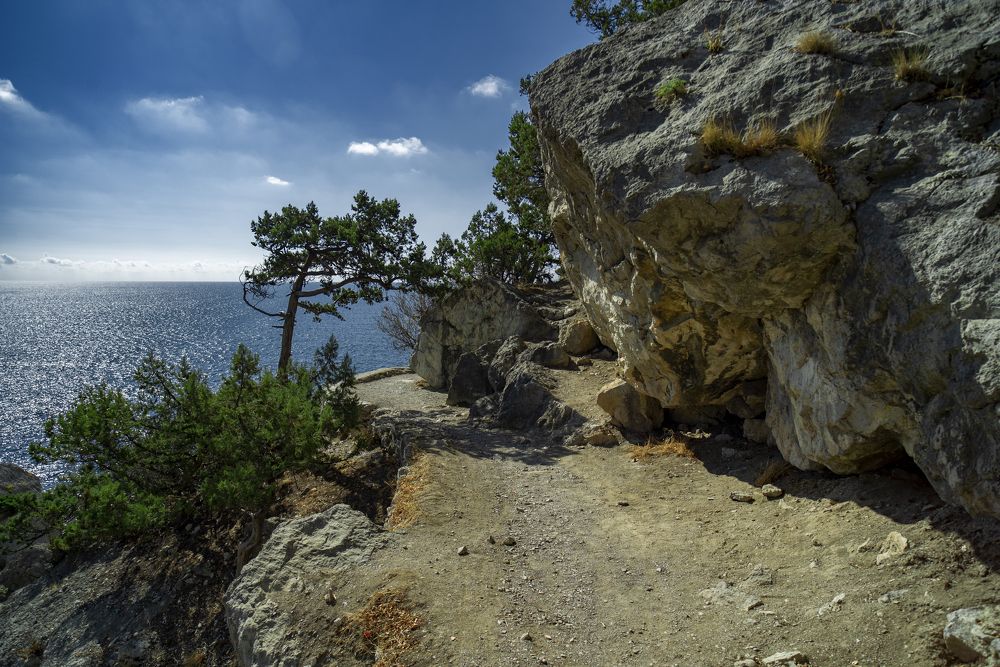 Photograph by Андрей Анатольевич Жуков