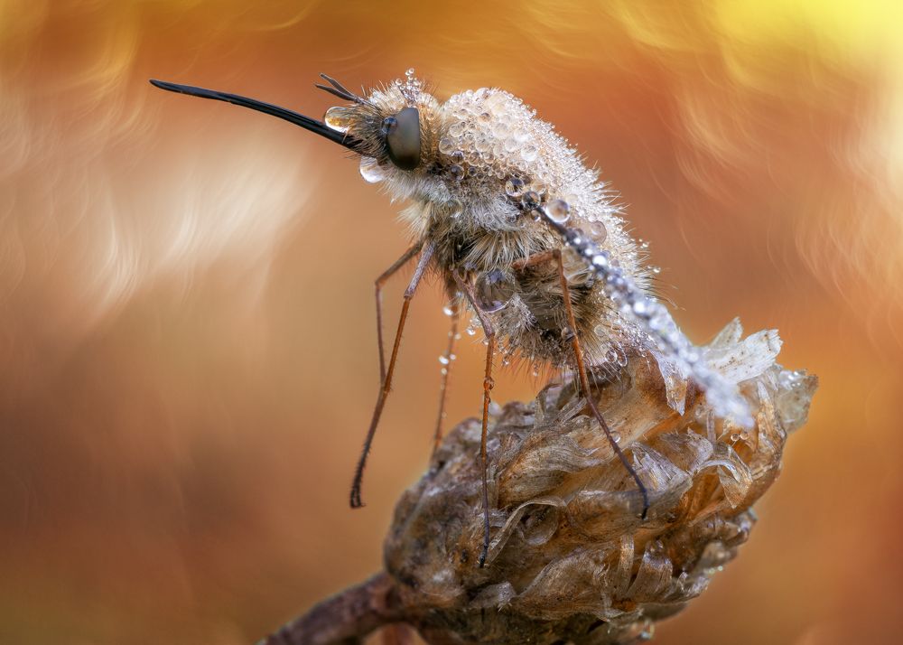 Мокрое утро