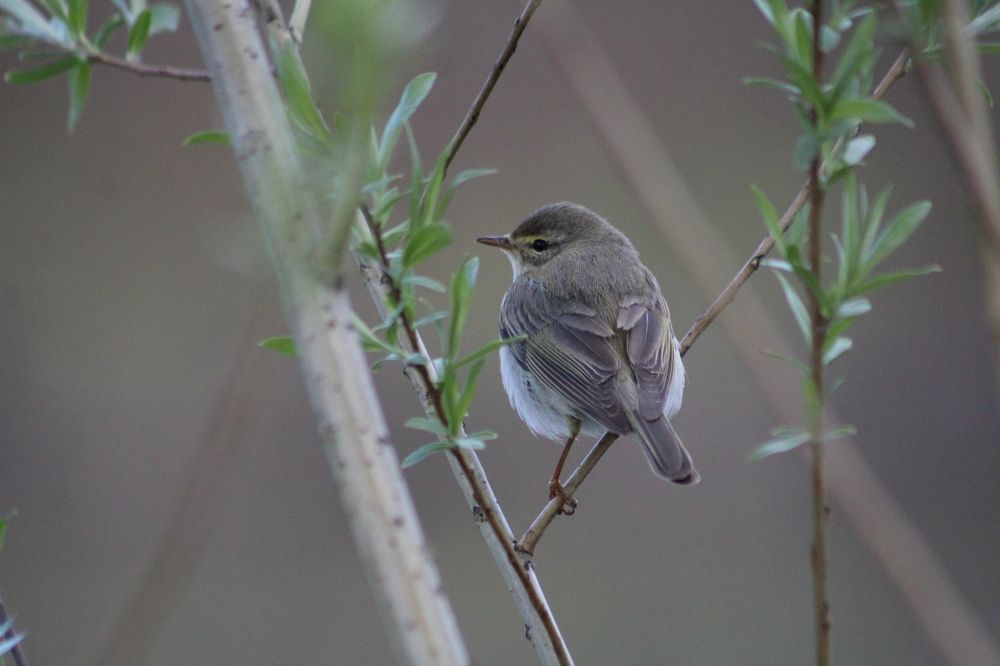 Photograph by Анна