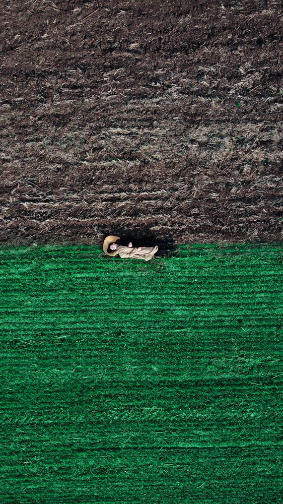 Photograph by Алла Долгова