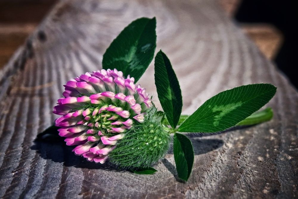 Photograph by Наташа Фишер