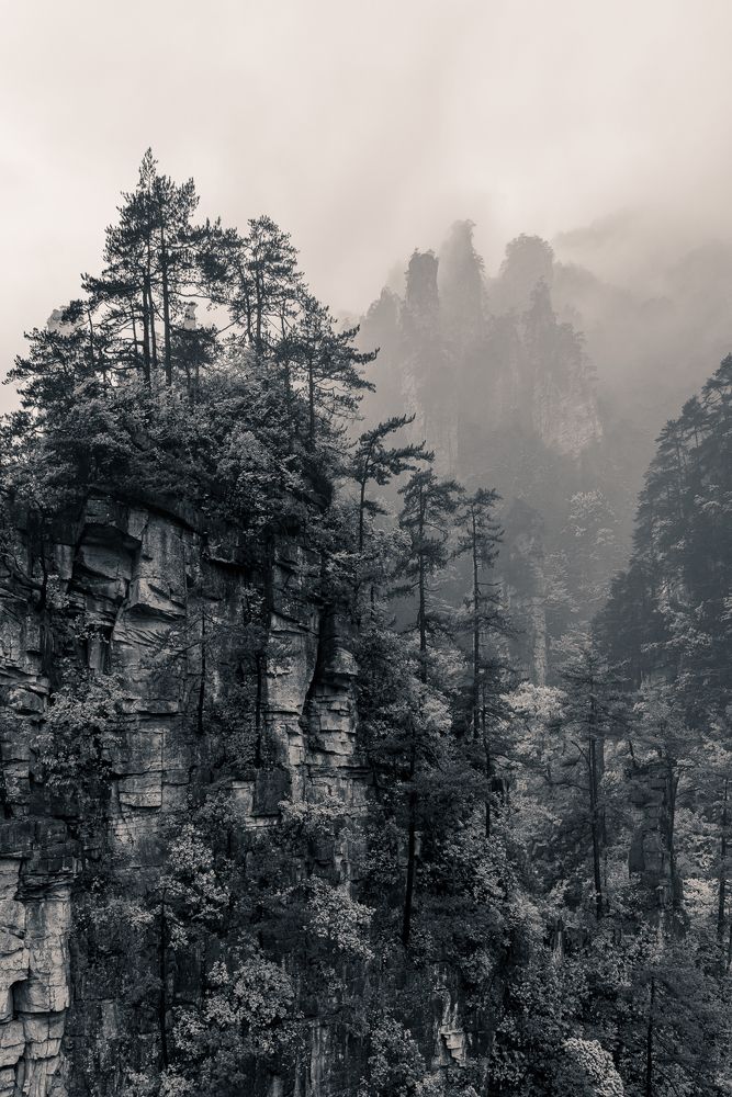 Фотография автора Вадим Жигулин