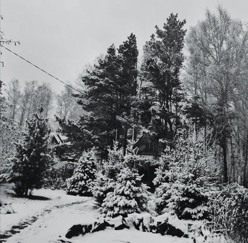 Photograph by Жанна Усатова