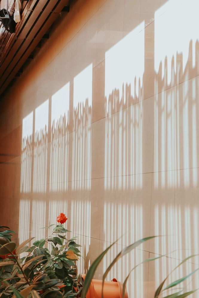 Photograph by Алина Сопова