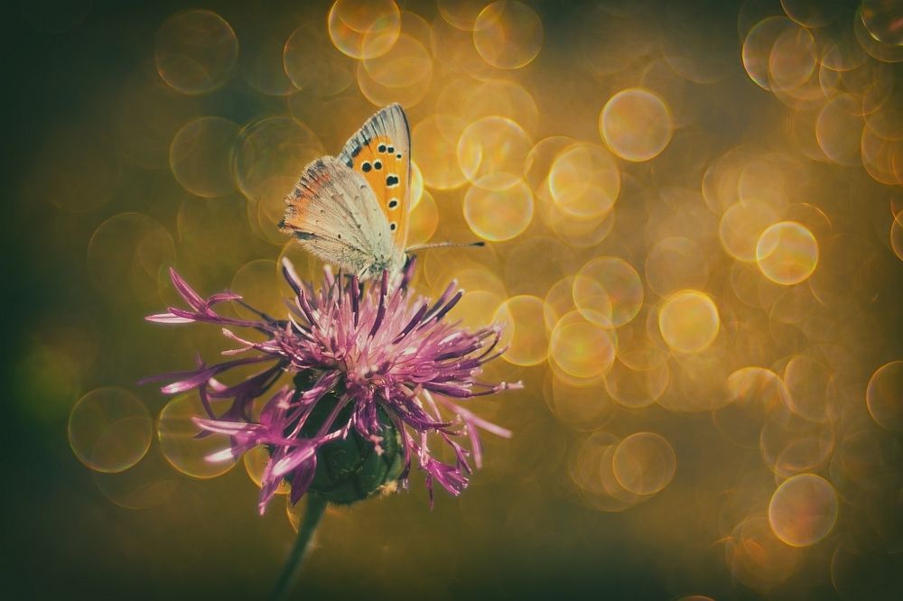 A Little More Summertime