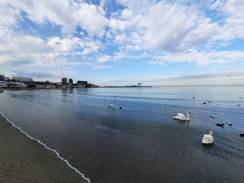 Photograph by Лала Екимчева