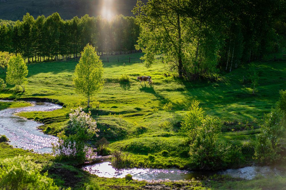 Photograph by Анастасия Салова