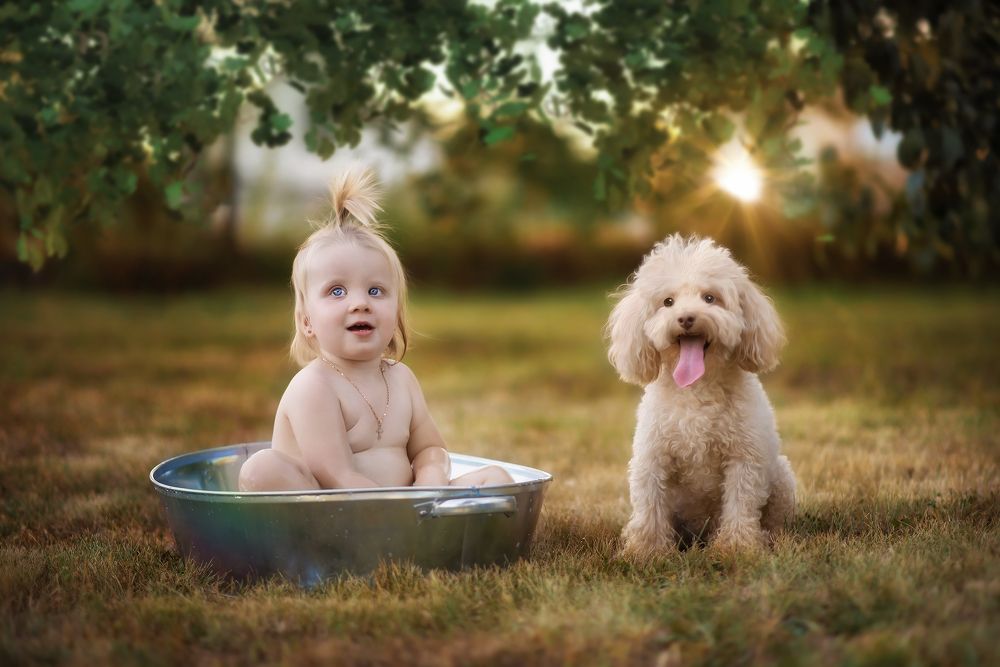 Photograph by Виктория Обозная