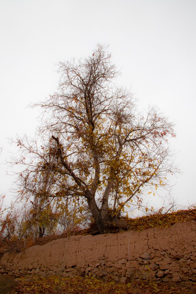 Photograph by hossein delkarami