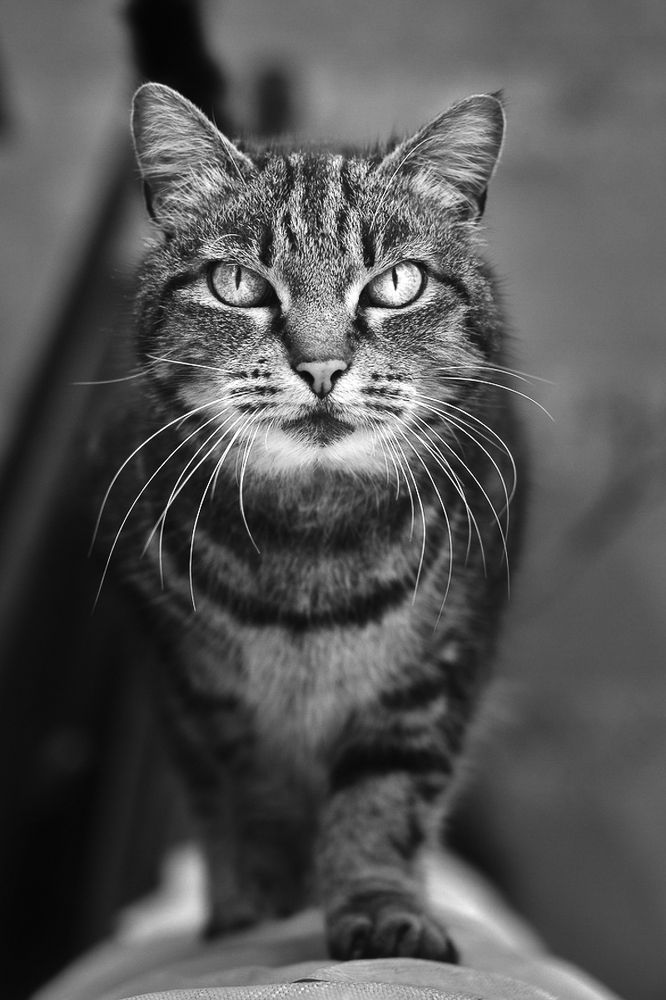 Photograph by Илья Кузнецов