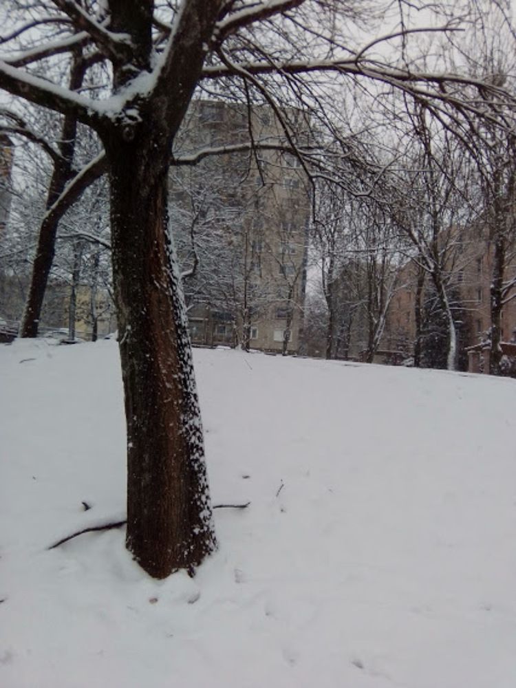 Photograph by Mátrai Melinda