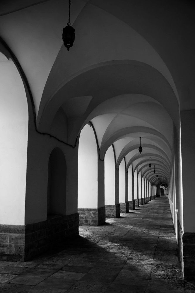 Photograph by Алина Сопова