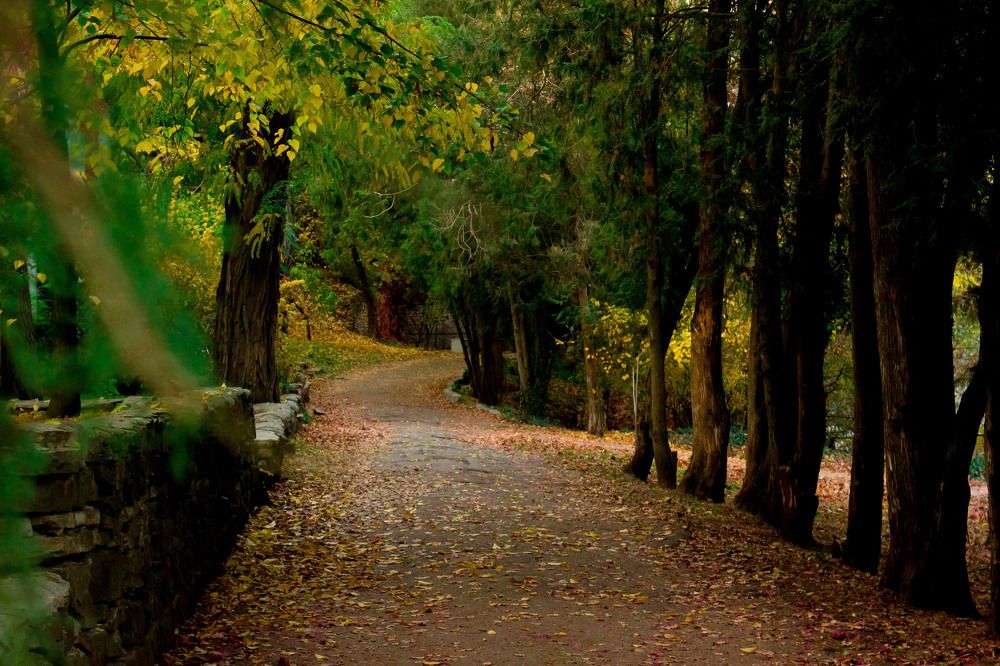 Photograph by Галина Суркова