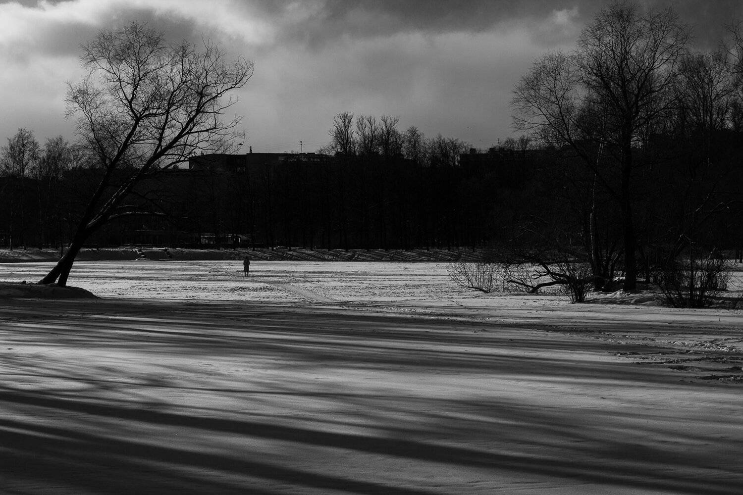 Photo #5807499