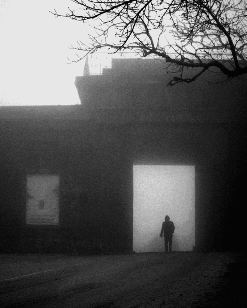 Photograph by Antonina Marchenko