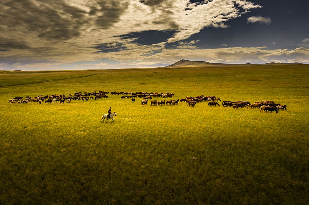 Nomadic with a horse. Mongolia