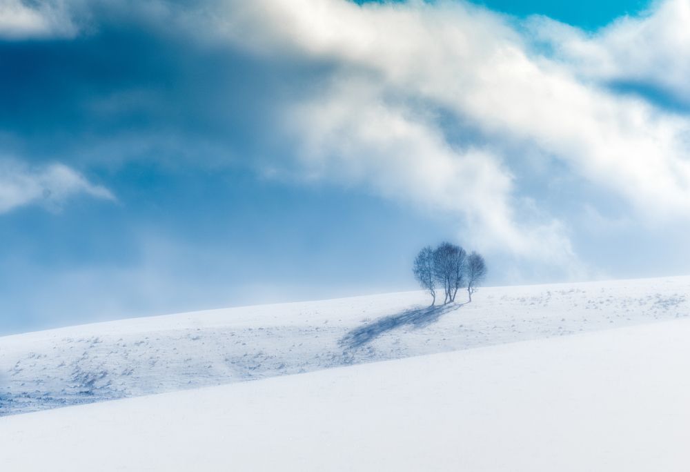 Photograph by Александр Орнатский