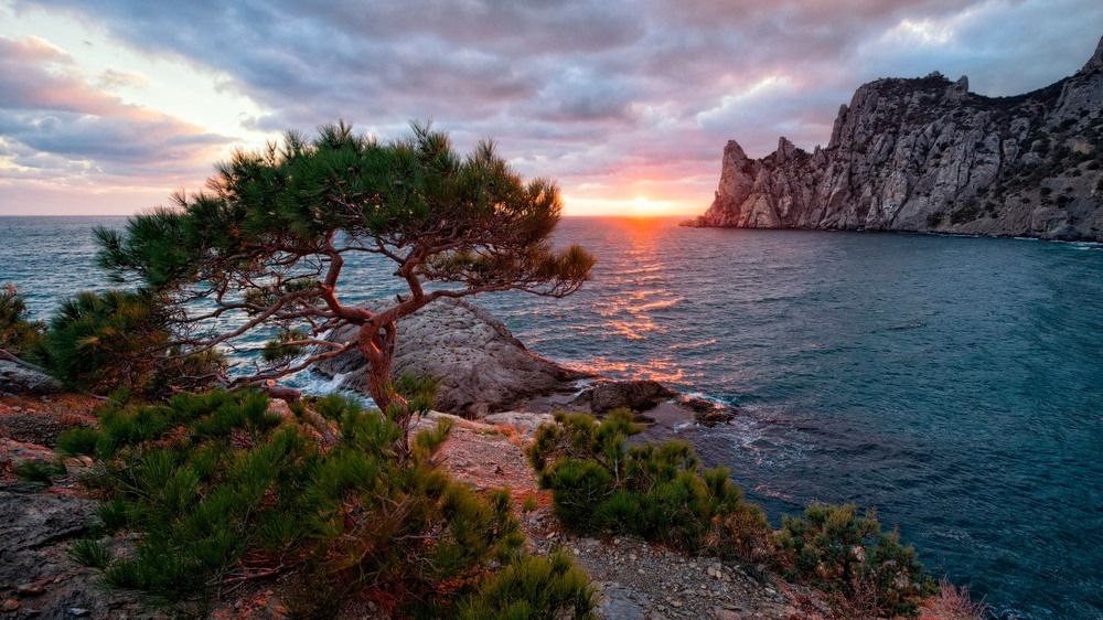 Photograph by Andrew Polson