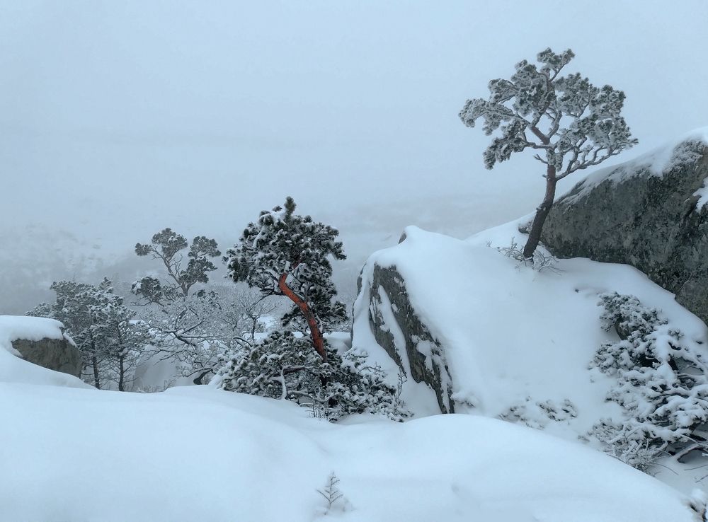 Photograph by Marat Magov