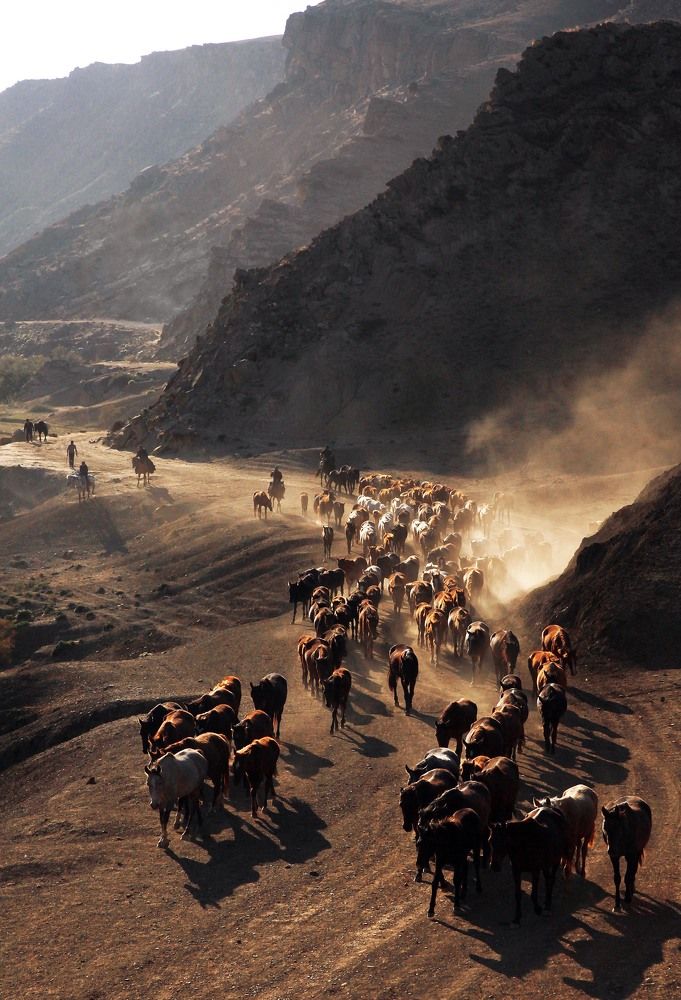 Photograph by Marat Magov