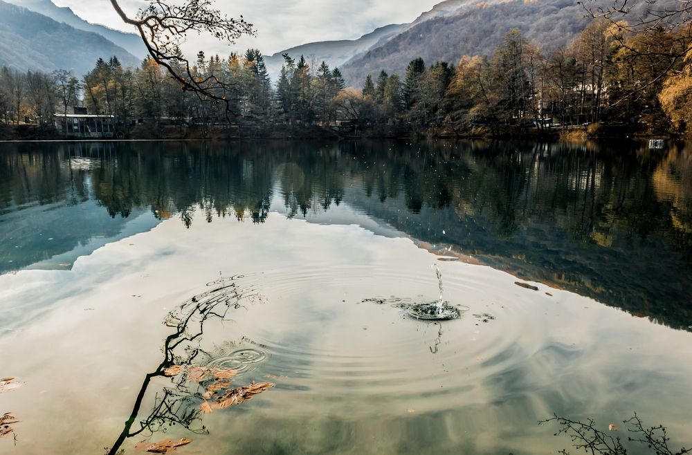 Photograph by Галина Суркова