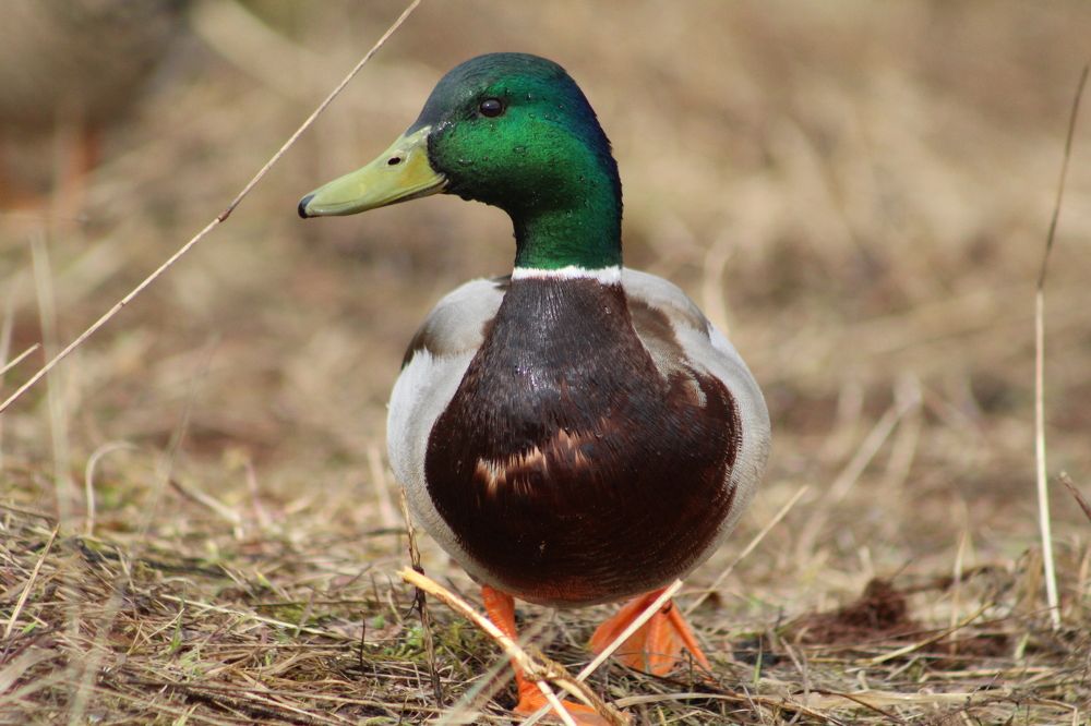 Photograph by Анна