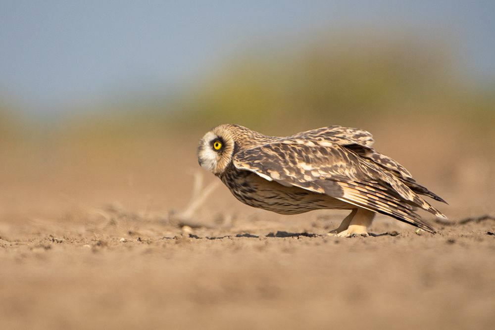 Photograph by Ashish Bhatt