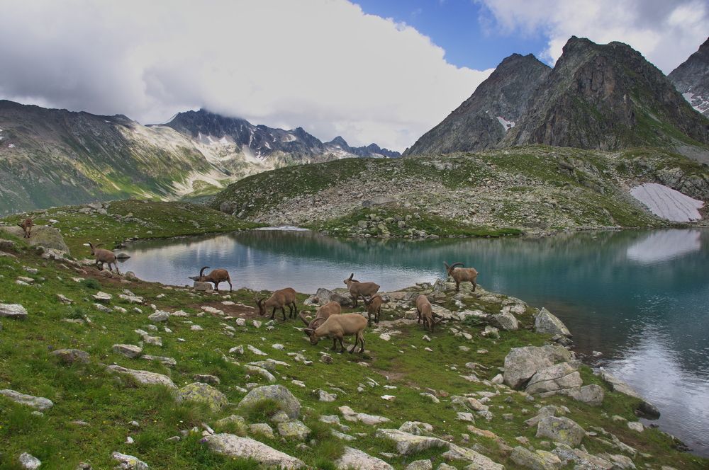 Кавказские туры на Голубом Муруджинском озере, КЧР