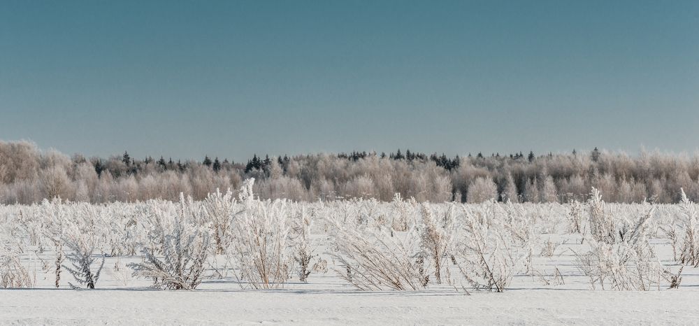 Photograph by Анна Никольская
