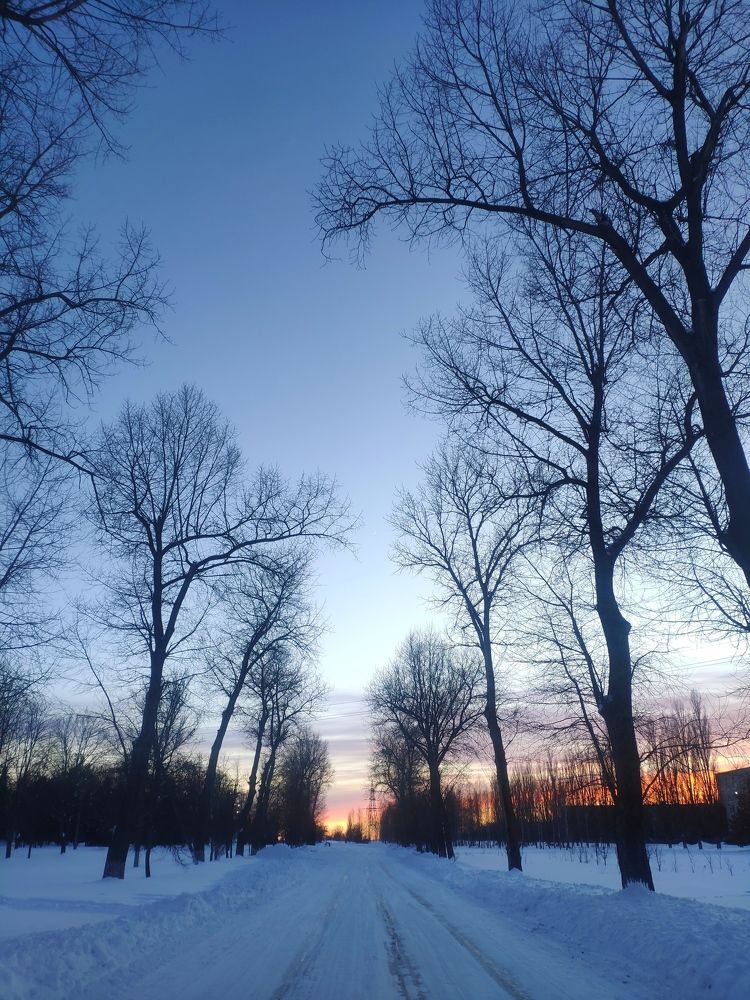 Photo #5807731