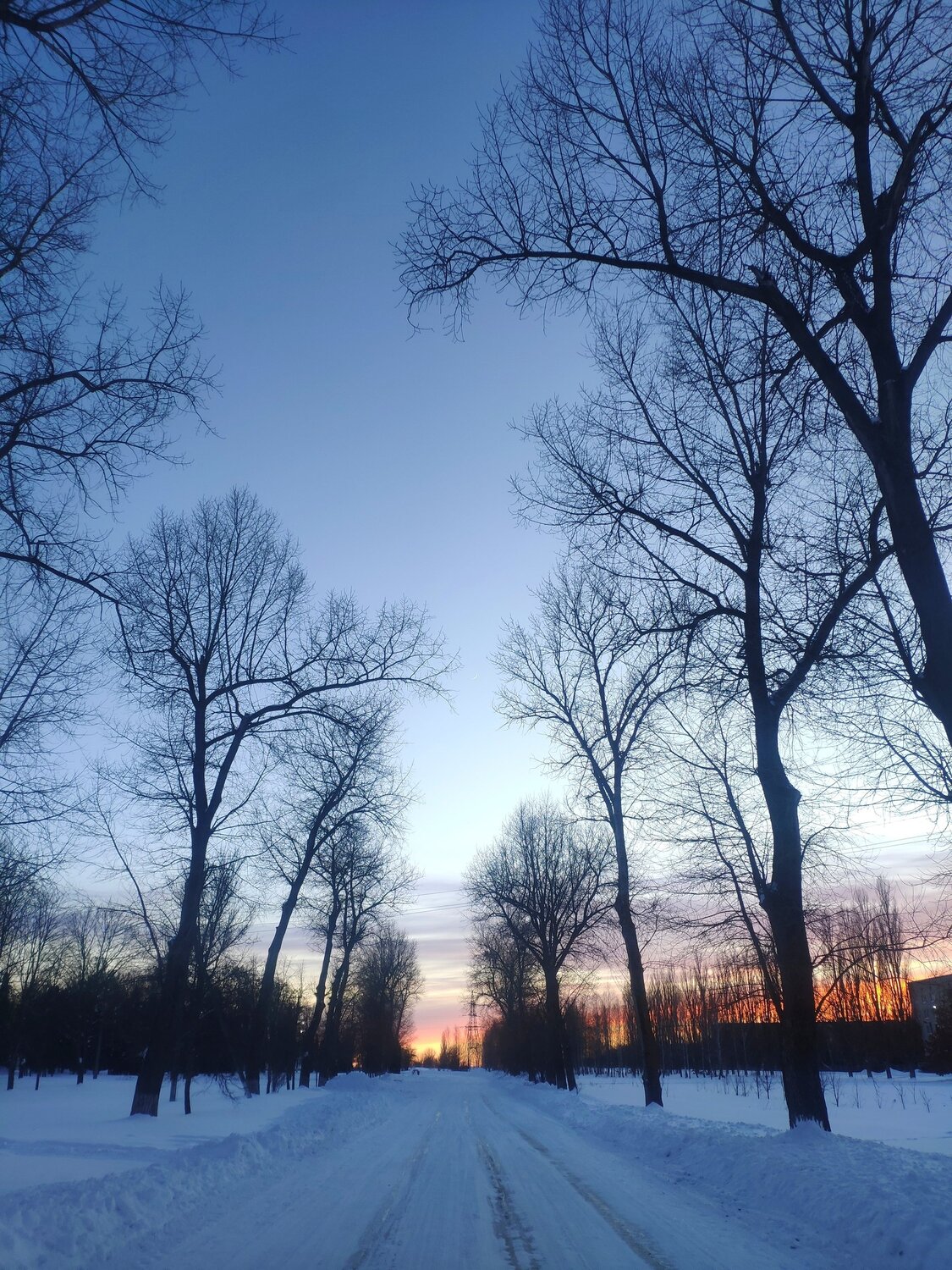 Photo #5807731