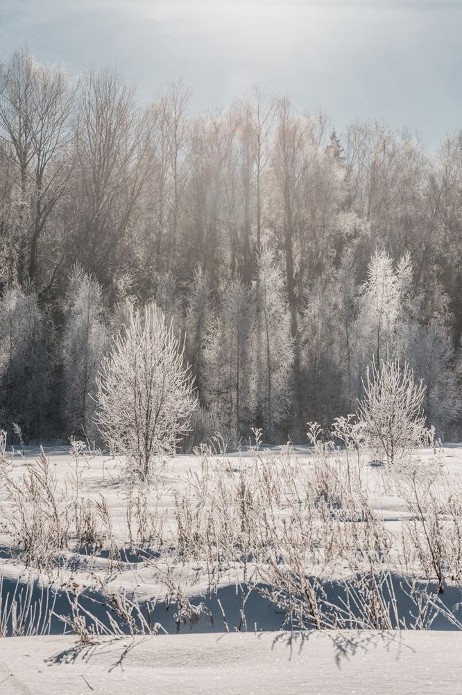 Photograph by Анна Никольская