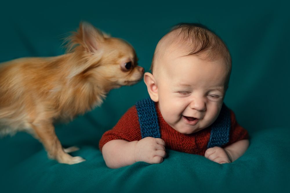 Photograph by Юлия Шуарт