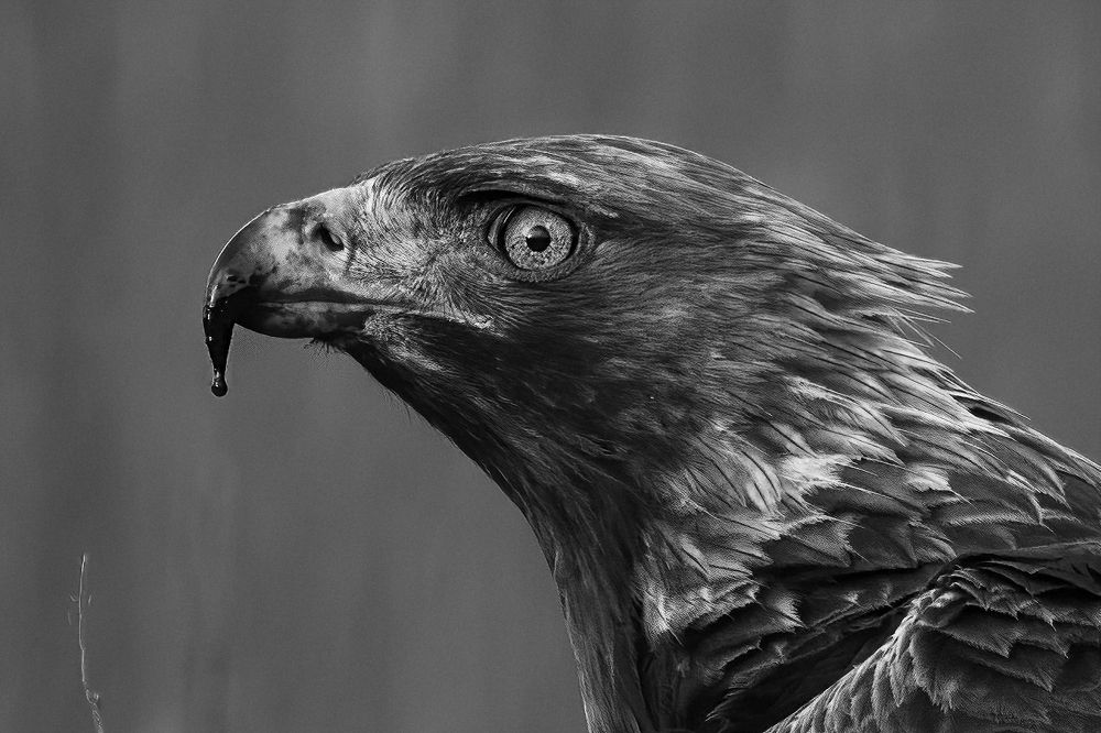 Photograph by Ernestas Balcikonis