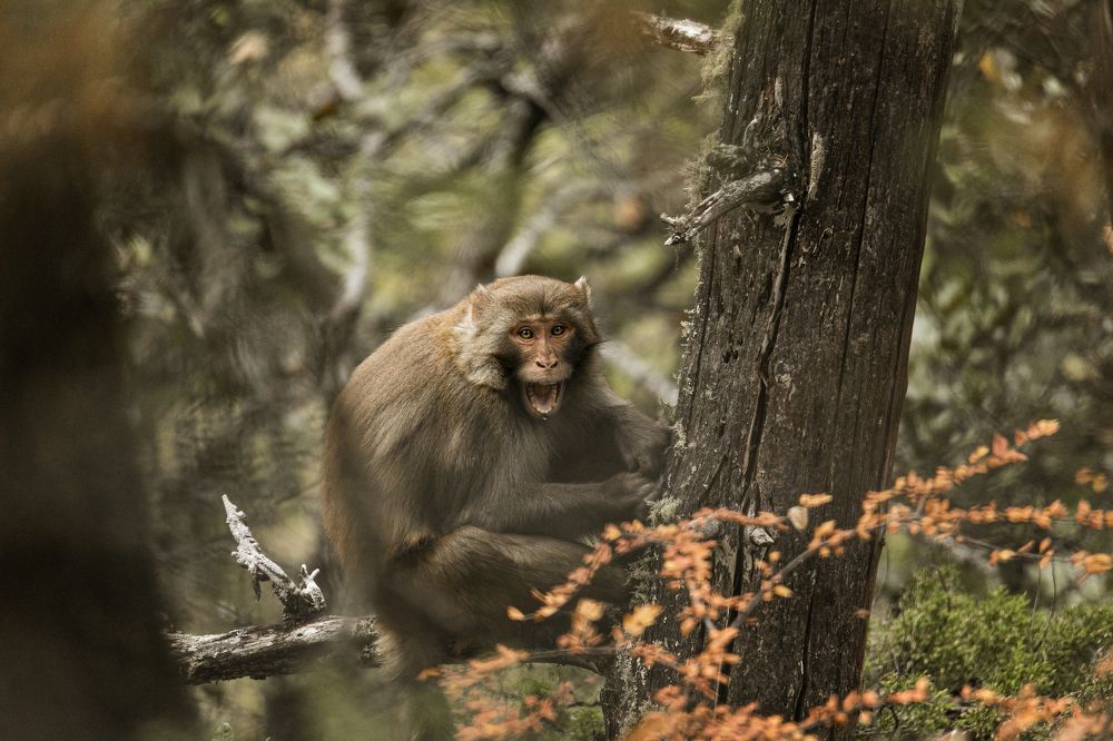 Photograph by Токарев Олег