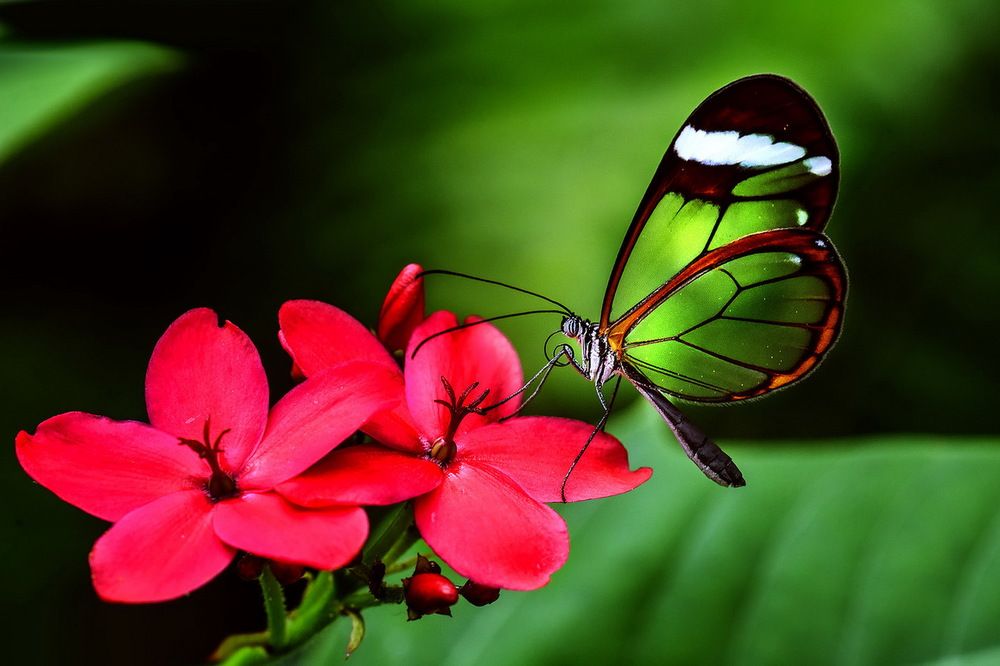 Фотография автора Александр Ракович