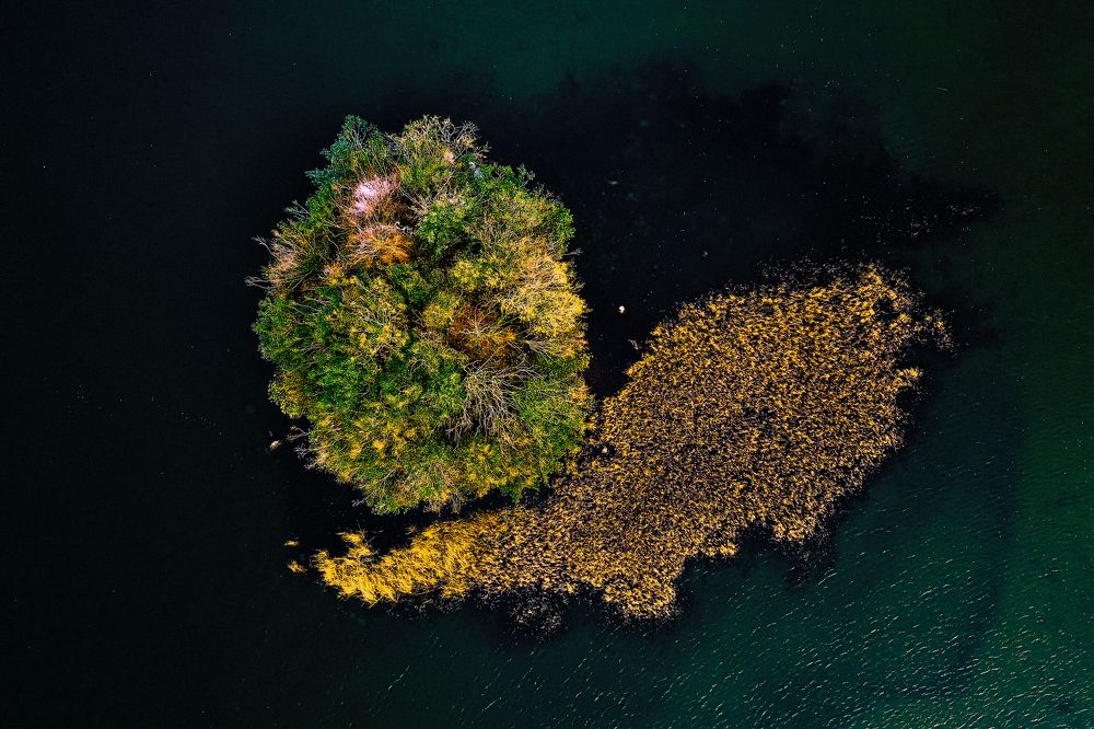 Photograph by Ernestas Balcikonis