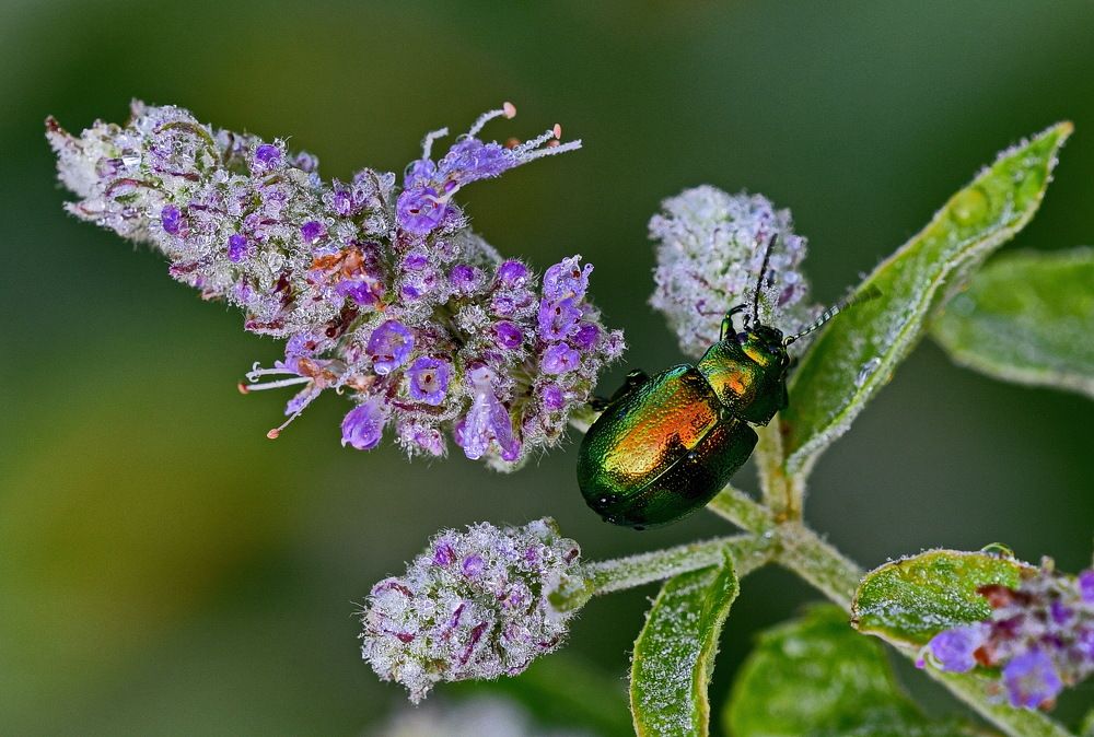Фотография автора Александр Ракович