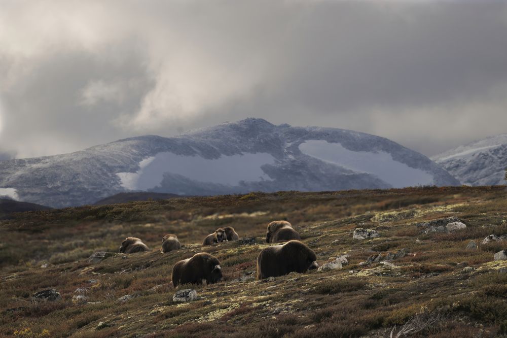 Photograph by Ernestas Balcikonis