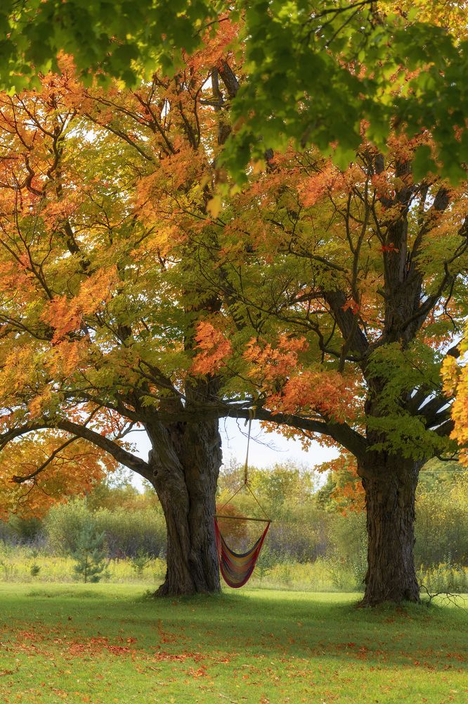 Photograph by vu luong