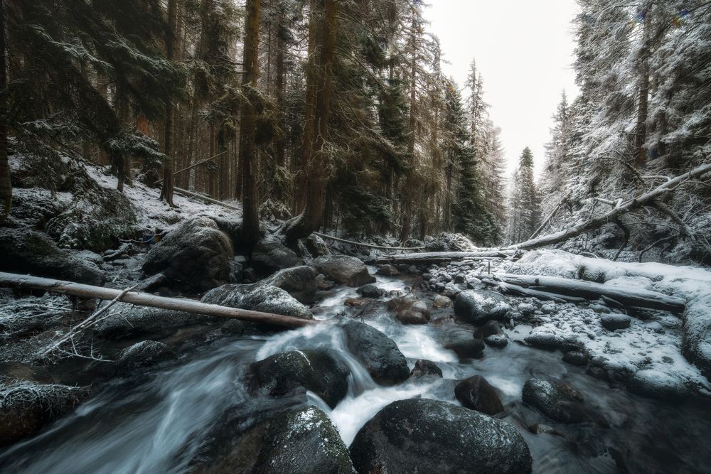 Photograph by Александр Орнатский