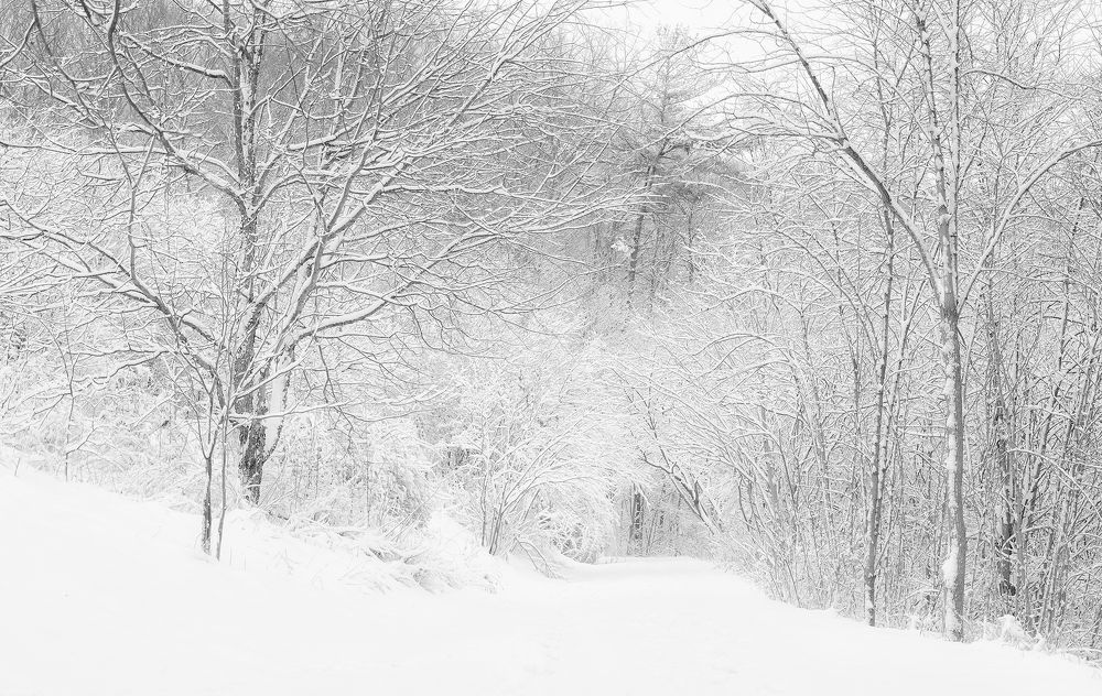 Photograph by vu luong