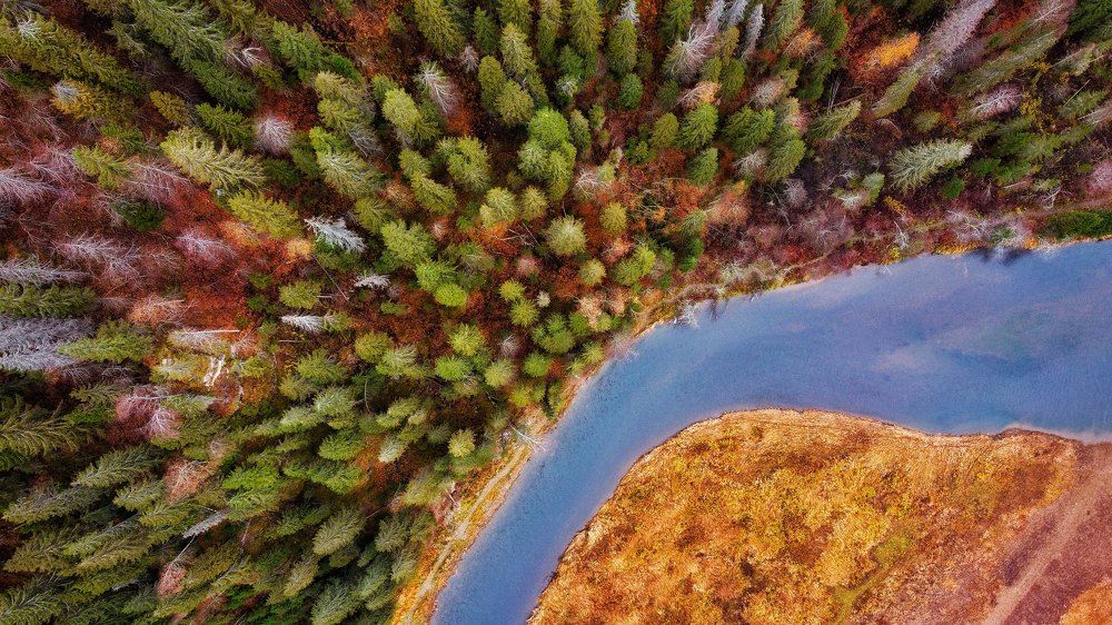 Photograph by Данил Стафеев