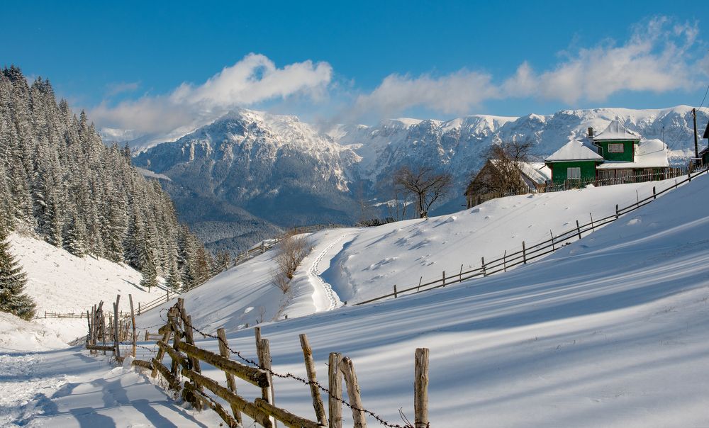 Photograph by Andrei Tomas