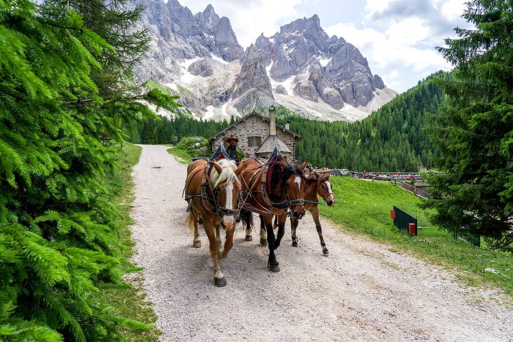 Photograph by Igor Serdyukov