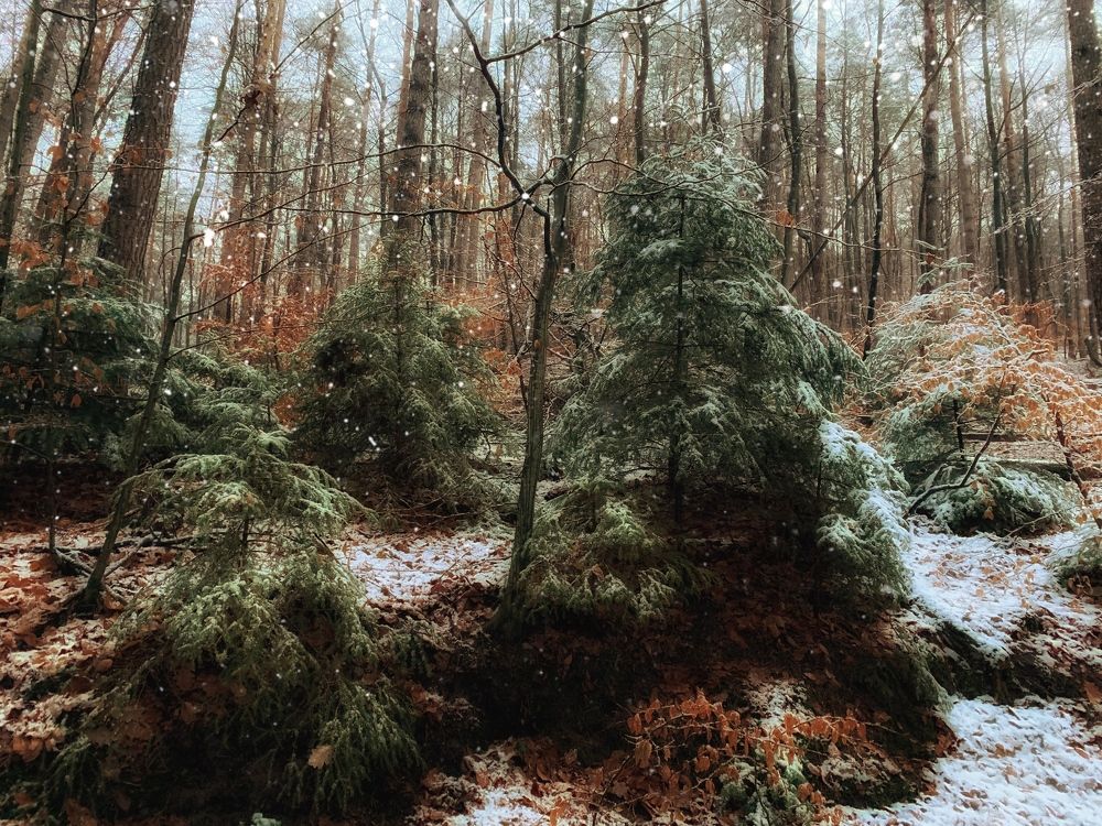 Photograph by Swetlana Lebedev