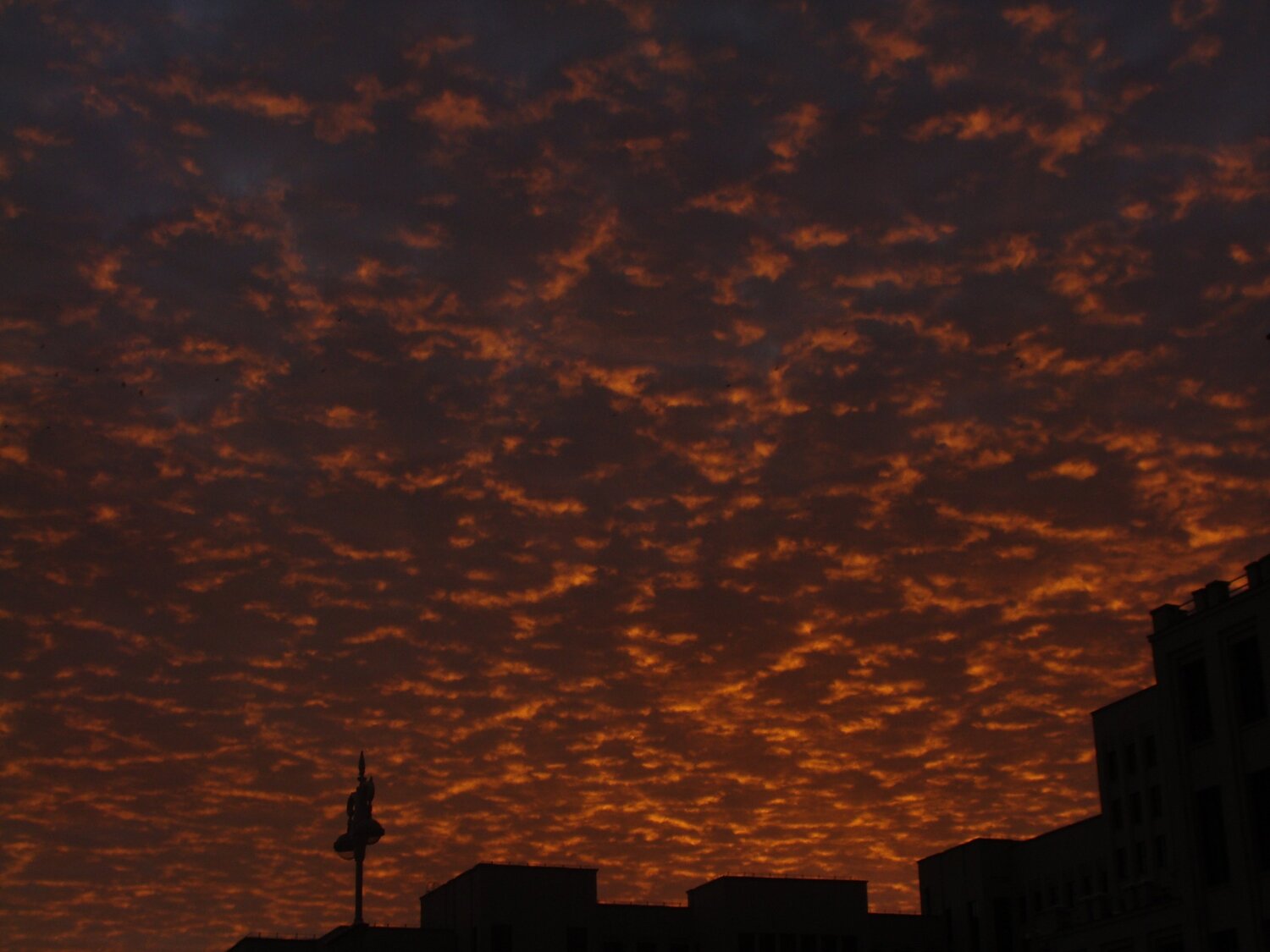 Photo #5808017
