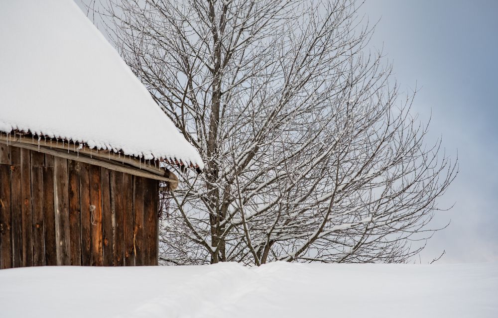 Photograph by Andrei Tomas