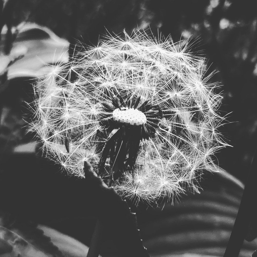 Фотография автора Мария Капатурина